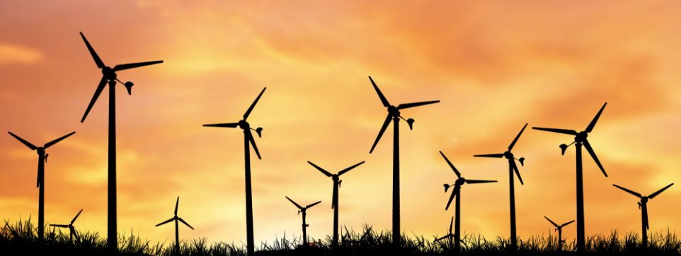 Winds Fan